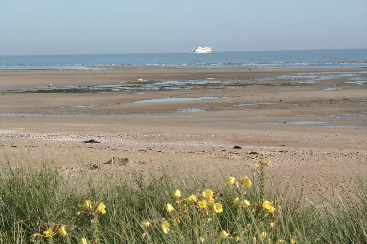 Marée basse sur la plage de Merville-Franceville-Plage